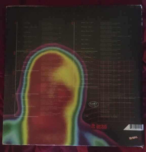 Divine Styler : Wordpower 2:  Directrix (3xLP, Album)