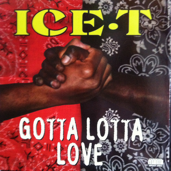 Ice-T : Gotta Lotta Love (12")