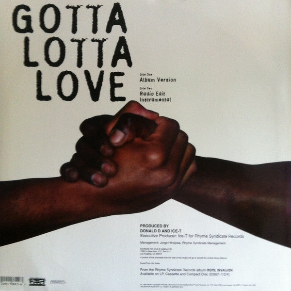 Ice-T : Gotta Lotta Love (12")