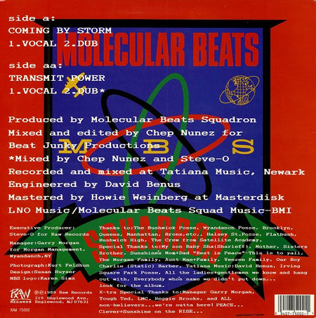 Molecular Beats Squadron : Coming By Storm / Transmit Power (12")