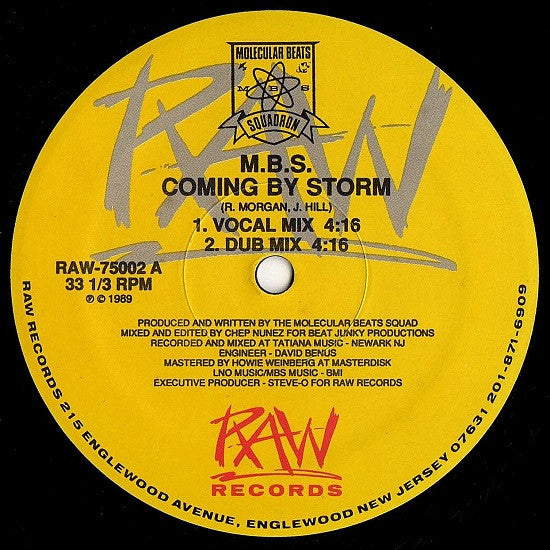 Molecular Beats Squadron : Coming By Storm / Transmit Power (12")