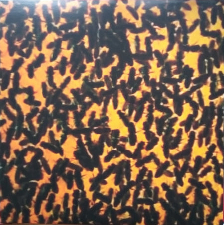 John Dwyer, Ryan Sawyer, Greg Coates, Wilder Zoby & Andres Renteria : Gong Splat (LP, Album, Ltd, Gol)