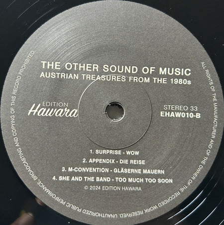 Various : The Other Sound Of Music (Forgotten Austrian Treasures From The 1980s) (LP, Album)