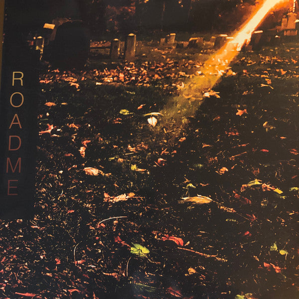 Alaska (3), Steel Tipped Dove : Reverberations Of A Dead Man's Ego (LP, Ltd)