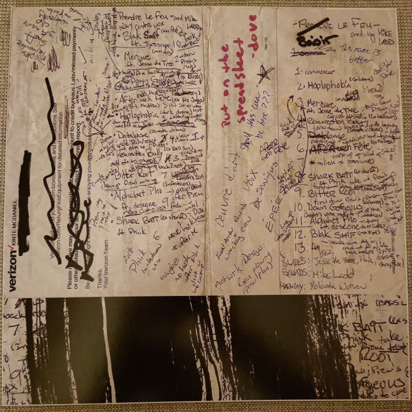 ShrapKnel, Mike Ladd : Saisir Le Feu (LP, Album)