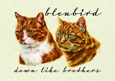 Bleubird : Down Like Brothers (Lathe, 5", Shape, S/Sided, Card, Ltd, Pic)