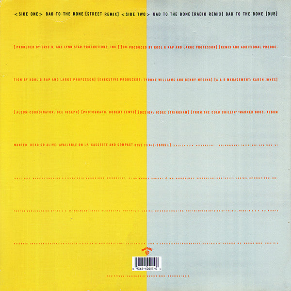Kool G Rap & D.J. Polo : Bad To The Bone (12", Maxi)