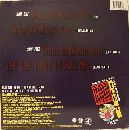 Ice-T : What Ya Wanna Do? (12", Maxi)