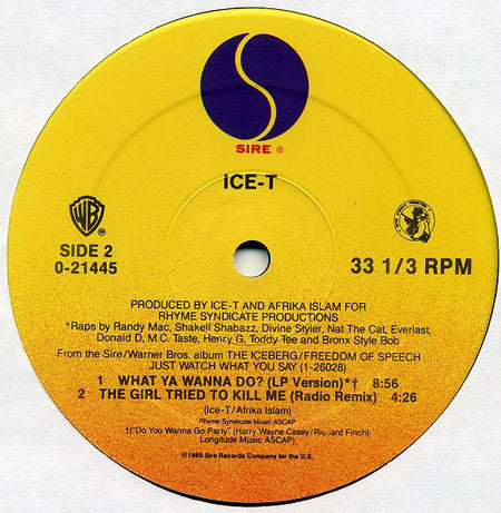 Ice-T : What Ya Wanna Do? (12", Maxi)