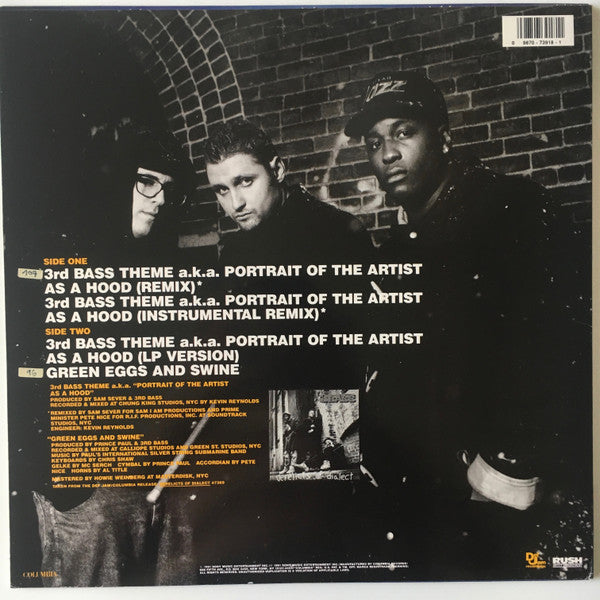 3rd Bass : 3rd Bass Theme A.K.A. Portrait Of The Artist As A Hood (12")